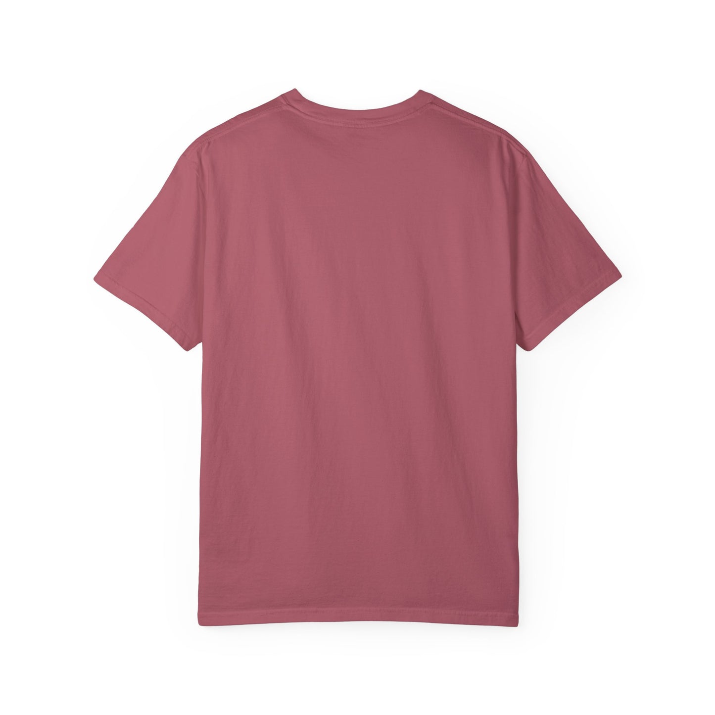 Clean Air is Product of the EPA Unisex T-shirt (Comfort Colors)