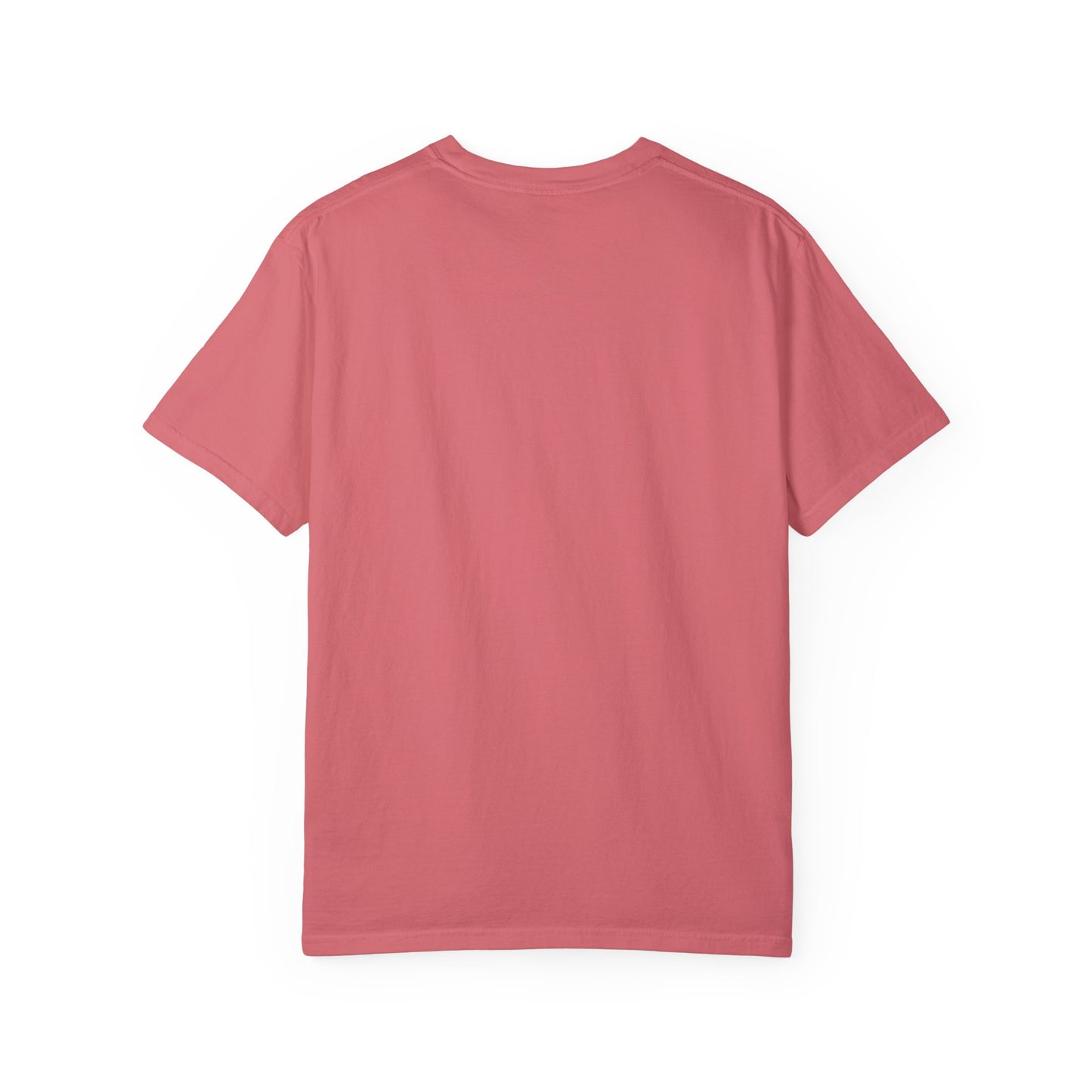 Clean Air is Product of the EPA Unisex T-shirt (Comfort Colors)